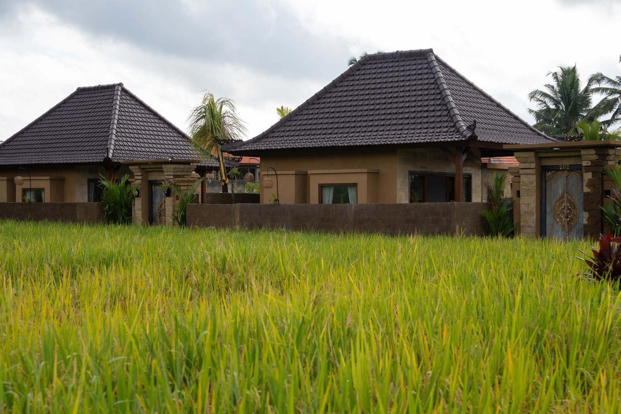 Sawah Sebatu Villa Ubud Buitenkant foto