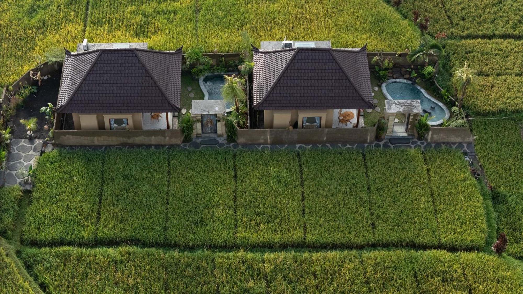 Sawah Sebatu Villa Ubud Buitenkant foto