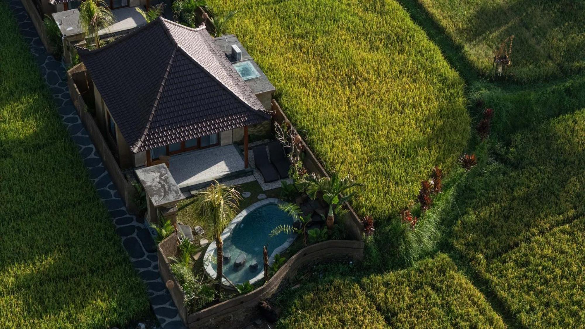 Sawah Sebatu Villa Ubud Buitenkant foto