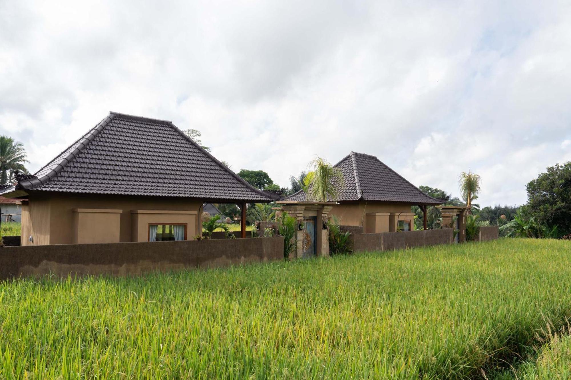 Sawah Sebatu Villa Ubud Buitenkant foto