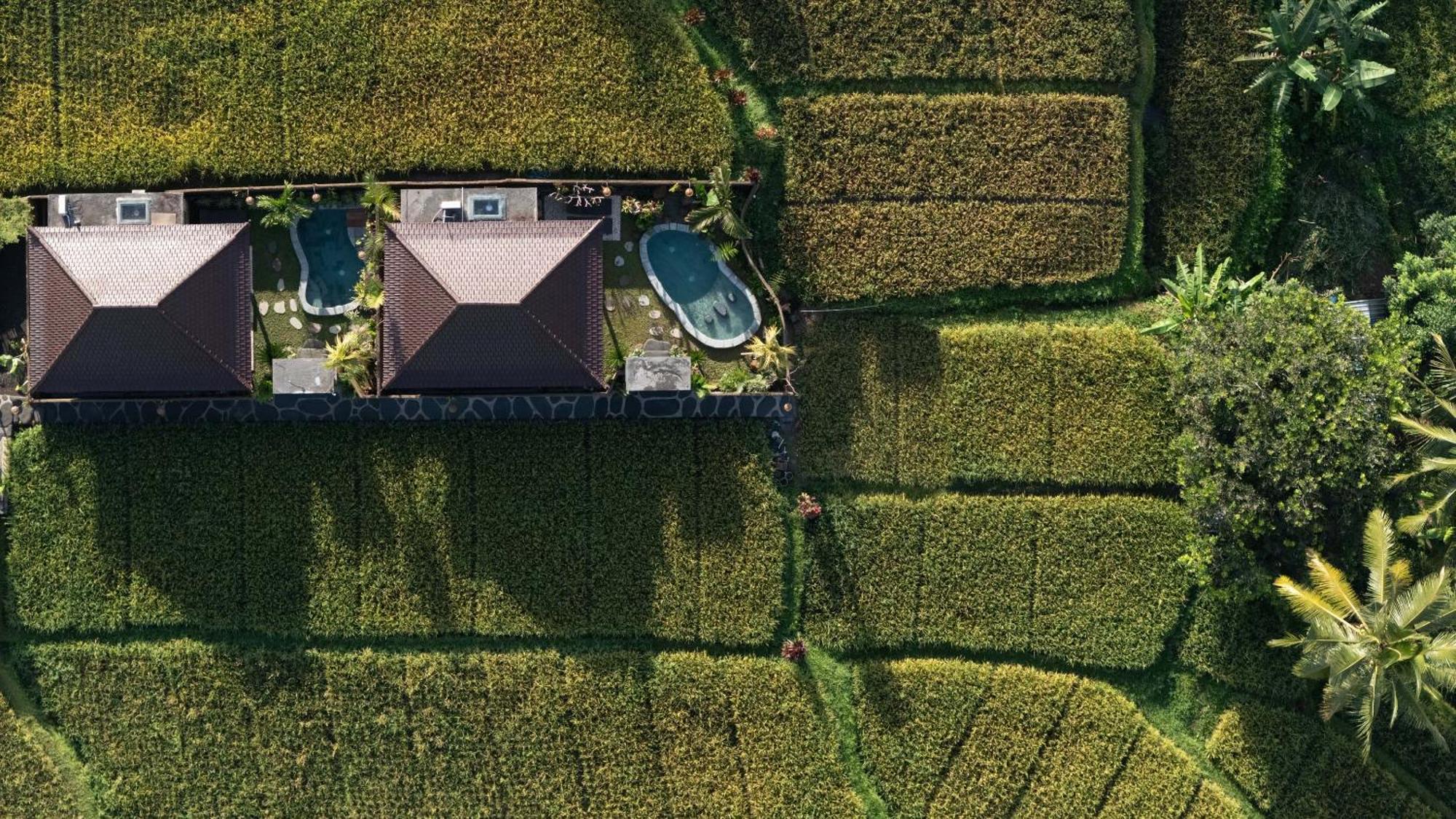 Sawah Sebatu Villa Ubud Buitenkant foto
