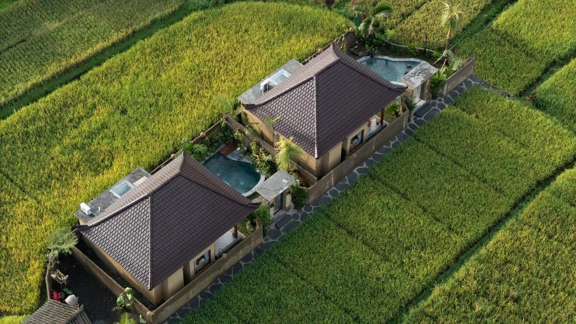 Sawah Sebatu Villa Ubud Buitenkant foto
